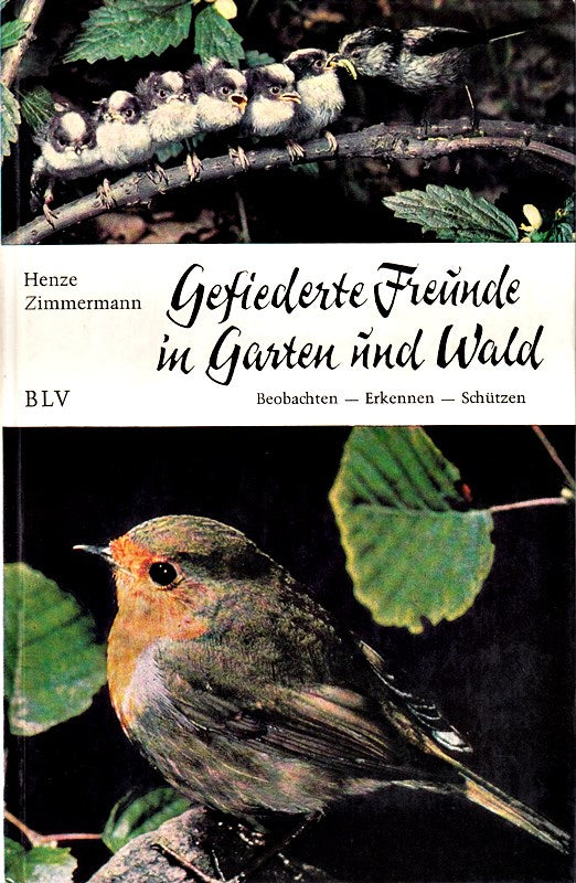 Gefiederte Freunde in Garten und Wald