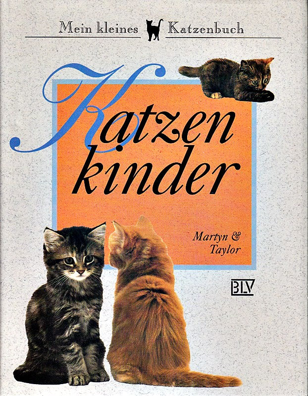 Katzenkinder