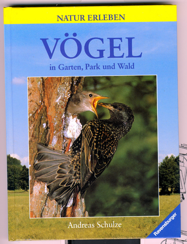 Vögel in Garten Park und Wald