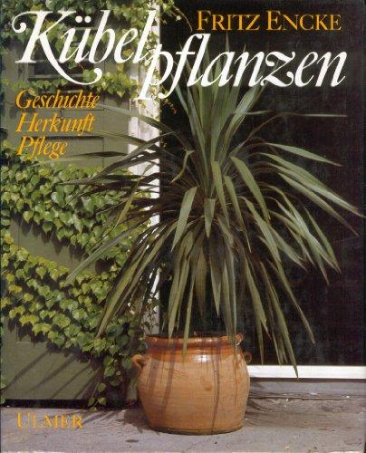 Kübelpflanzen: Geschichte Herkunft Pflege