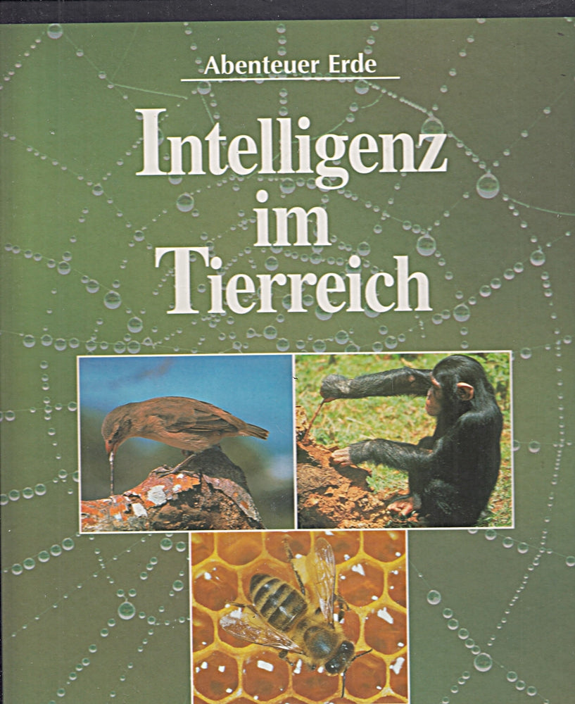 Abenteurer Erde - Intelligenz im Tierreich