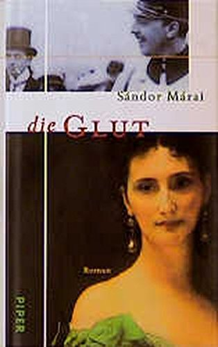 Die Glut: Roman
