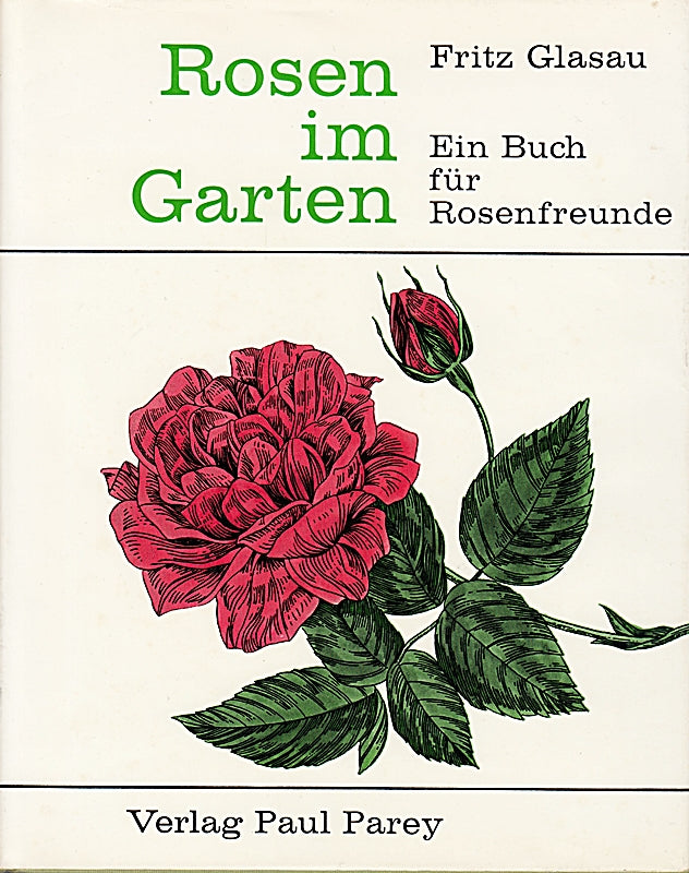 Rosen im Garten