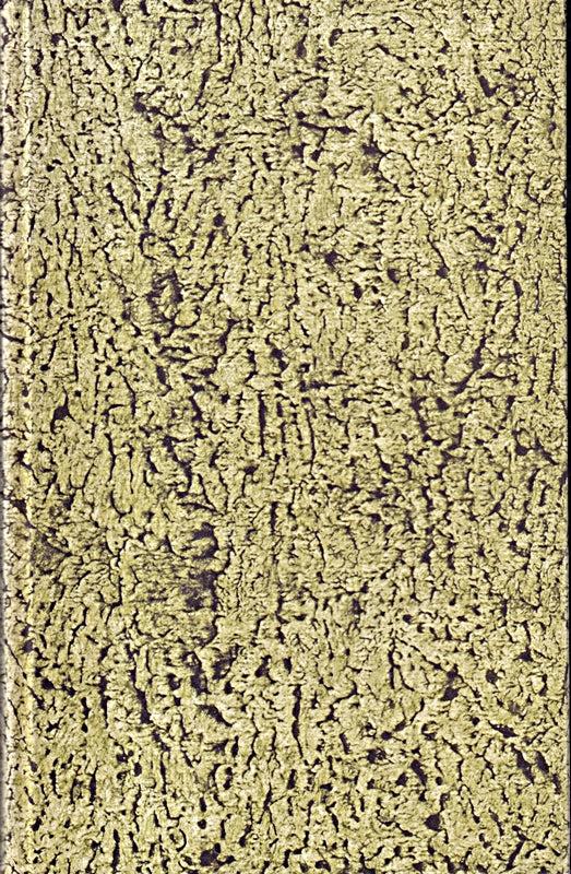 Heimatlicher Raum. Prosa