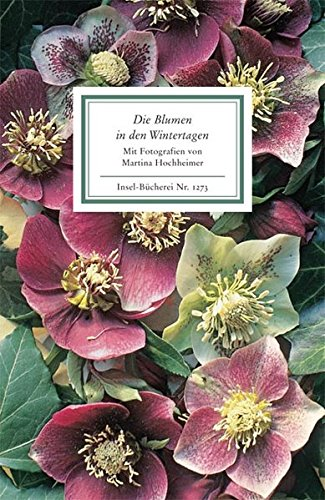 Die Blumen in den Wintertagen: Bilder und Texte (Insel-Bücherei)