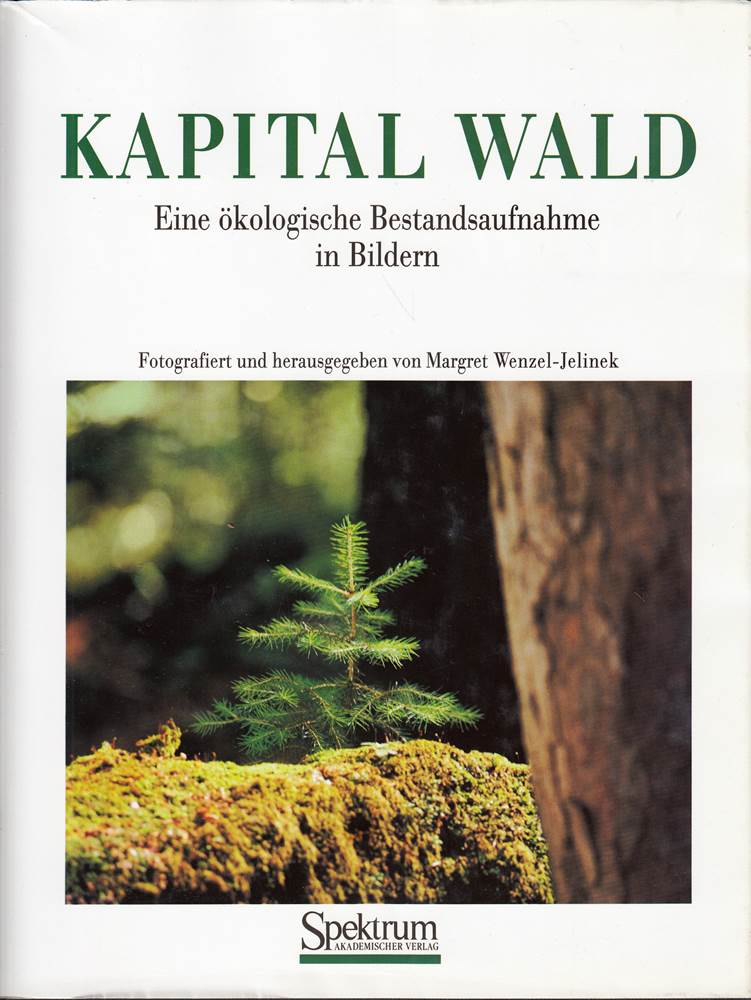 KAPITAL WALD