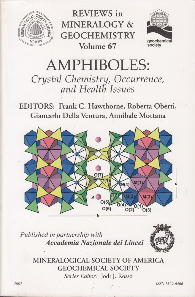 Amphiboles: Crystal Chemistry Occurrence and Health Issues (Reviews in Mineralogy & Geochemistry 67 Band 67)