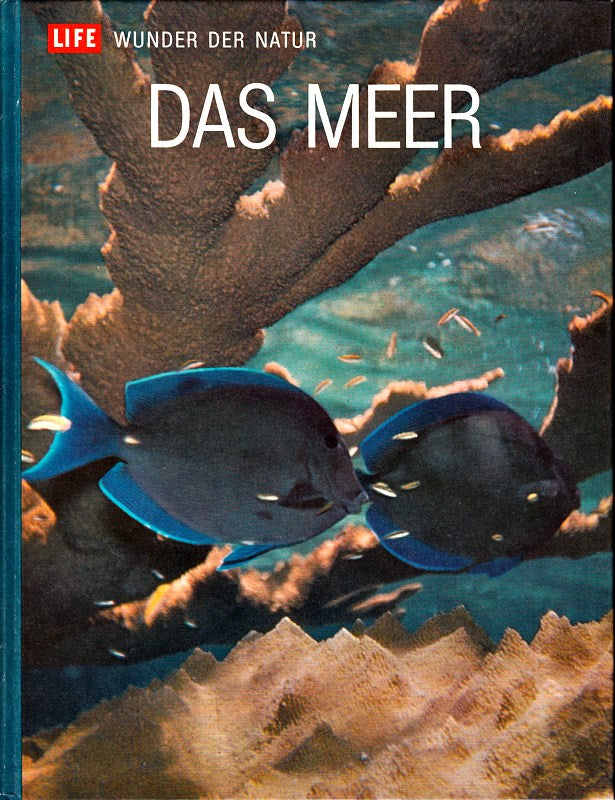 Life - Wunder der Natur: Das Meer