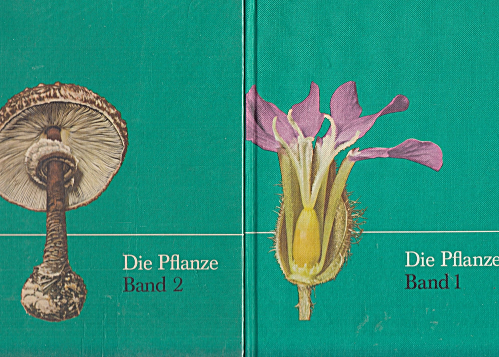 Die Pflanze Band 1 und Band 2