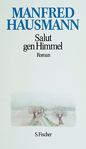 Salut gen Himmel. Roman