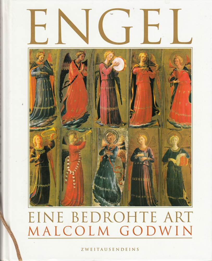 Engel. Eine bedrohte Art ( 1995 )