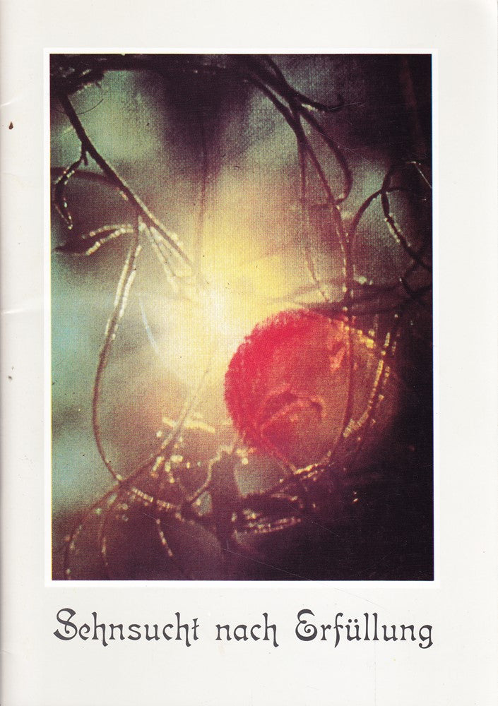 Sehnsucht nach Erfüllung. Text:Zapf Josef Bilder von Rosina Zipperle
