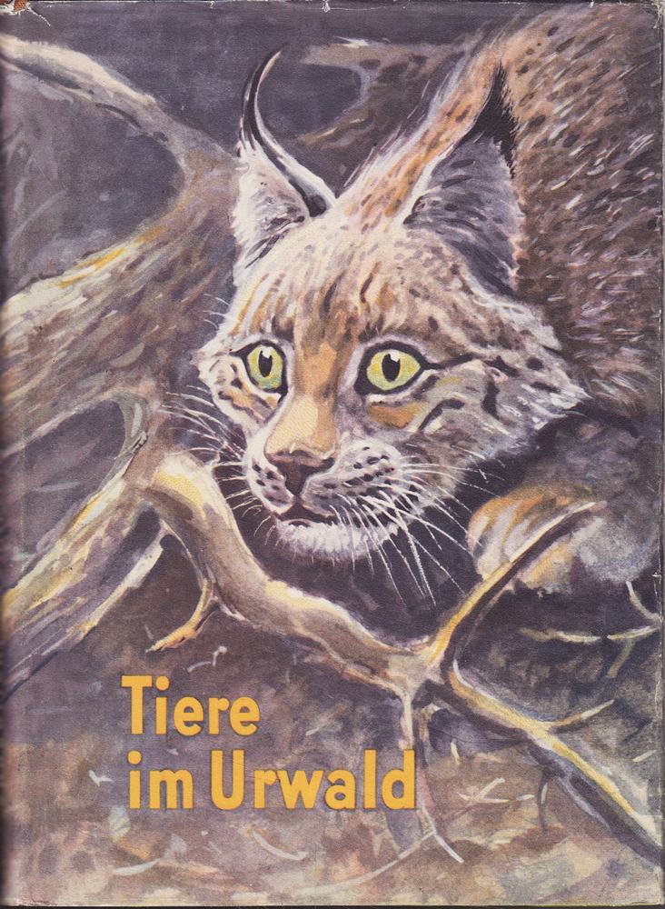 Tiere im Urwald. Erlebnisse im Naturschutzgebiet von Belowesh.