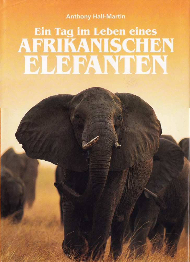 Ein Tag im Leben eines Afrikanischen Elefanten