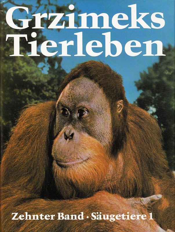 Grzimeks Tierleben. Enzyklopädie des Tierreichs. Zehnter Band: Säugetiere 1