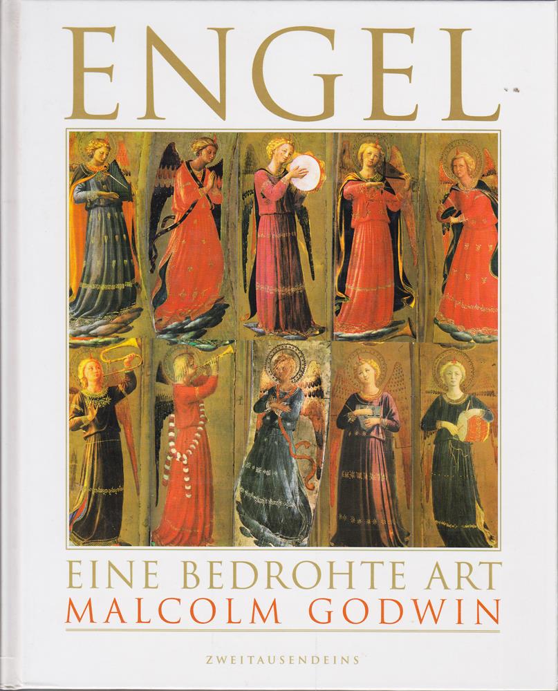 Engel: Eine bedrohte Art