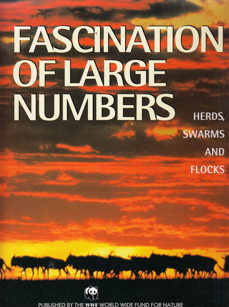 Fascination of Large Numbers: Herds Swarms and Flocks