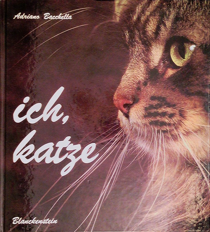 Ich Katze