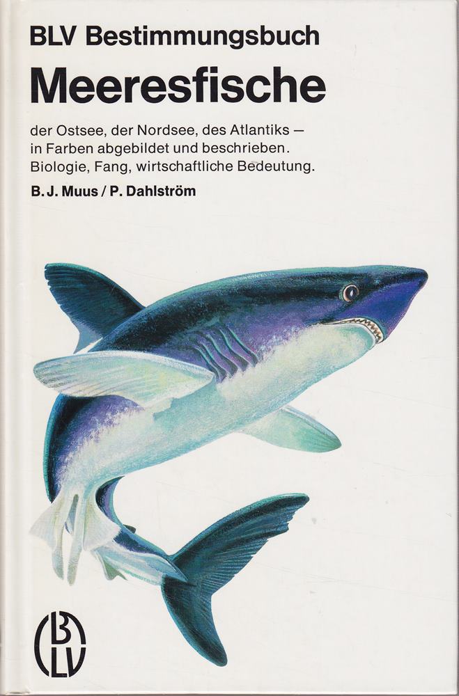 Meeresfische der Ostsee der Nordsee des Atlantiks