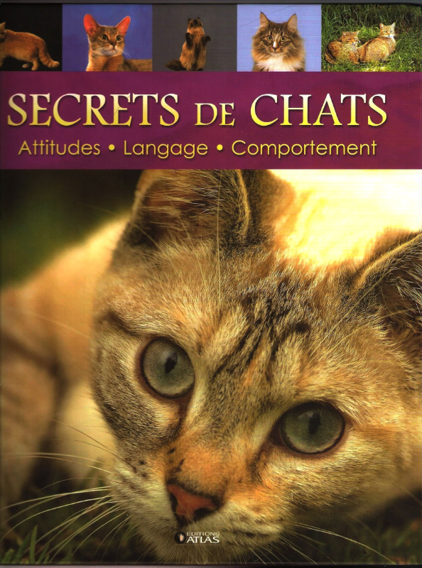 Secrets de chats - Attitudes - Langage - Comportoment