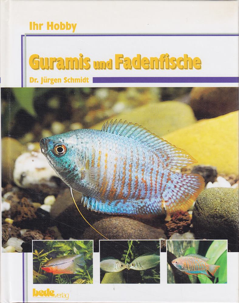 Ihr Hobby Guramis und Fadenfische