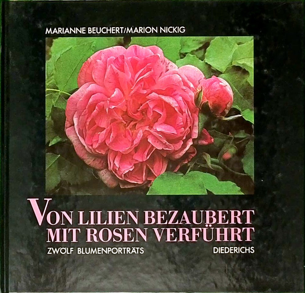 Von Lilien bezaubert mit Rosen verführt. Zwölf Blumenportraits