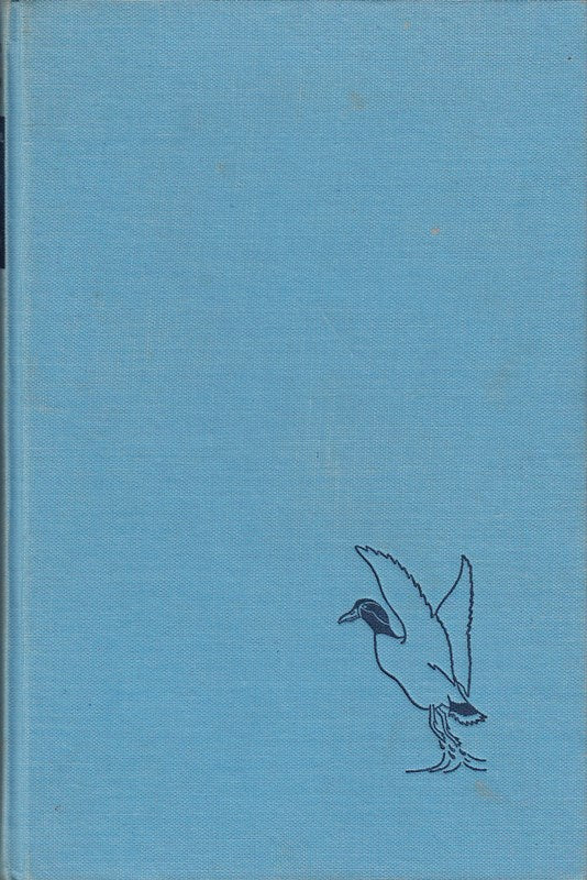 Engel das grosse Buch der Vögel Keysersche 216 Seiten phantastische Farbbilder