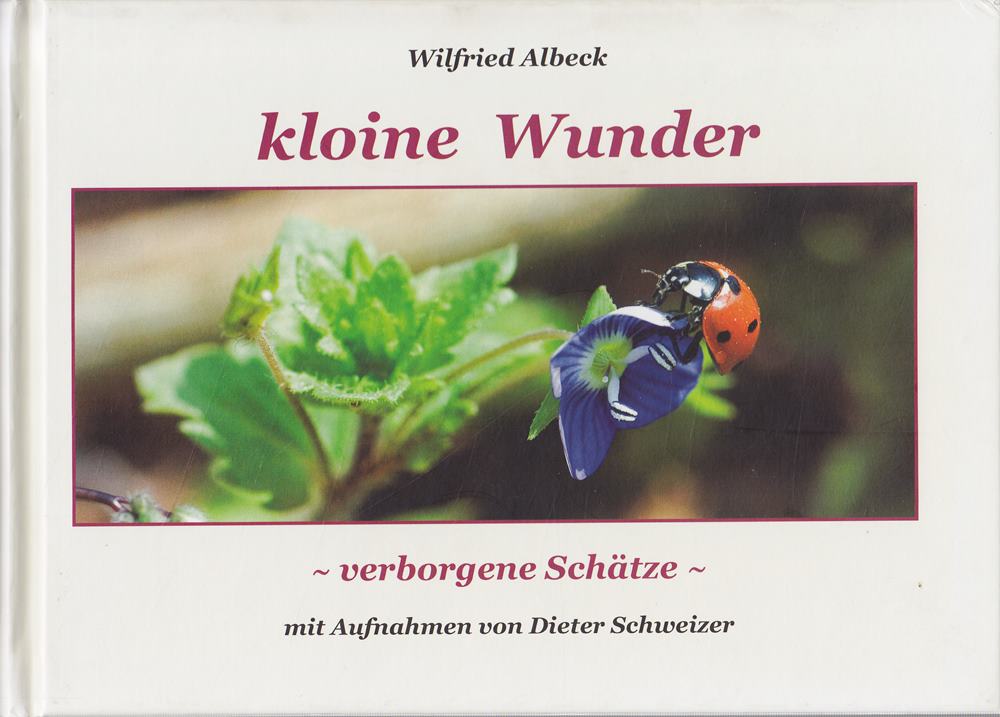 kloine Wunder: verborgene Schätze