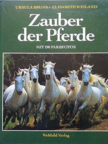 Zauber der Pferde