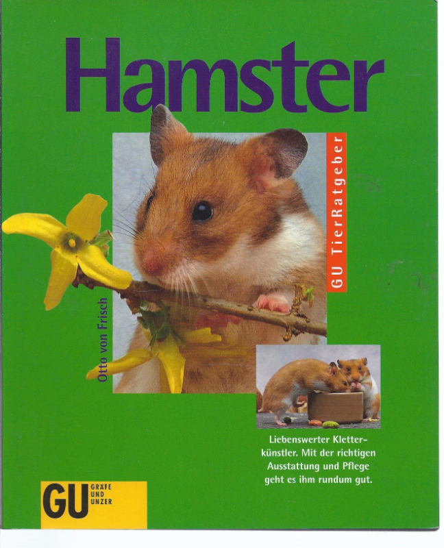 Hamster