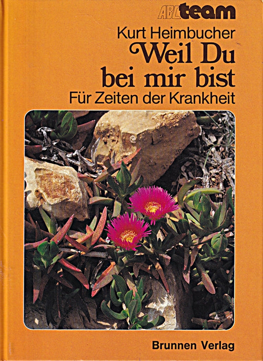 Weil du bei mir bist: Für Zeiten der Krankheit