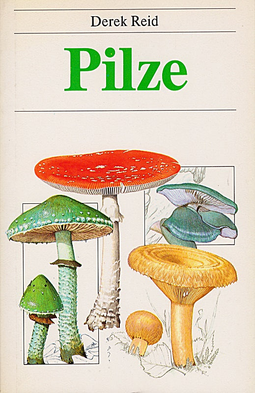 Pilze