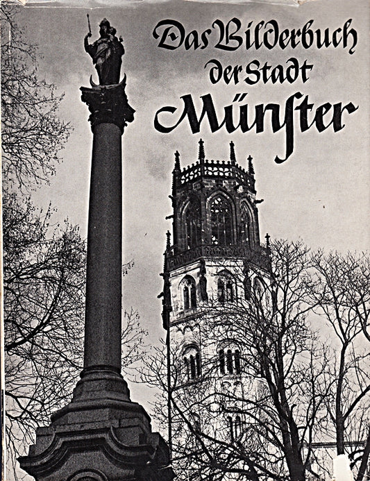 DAS BILDERBUCH DER STADT MUENSTER