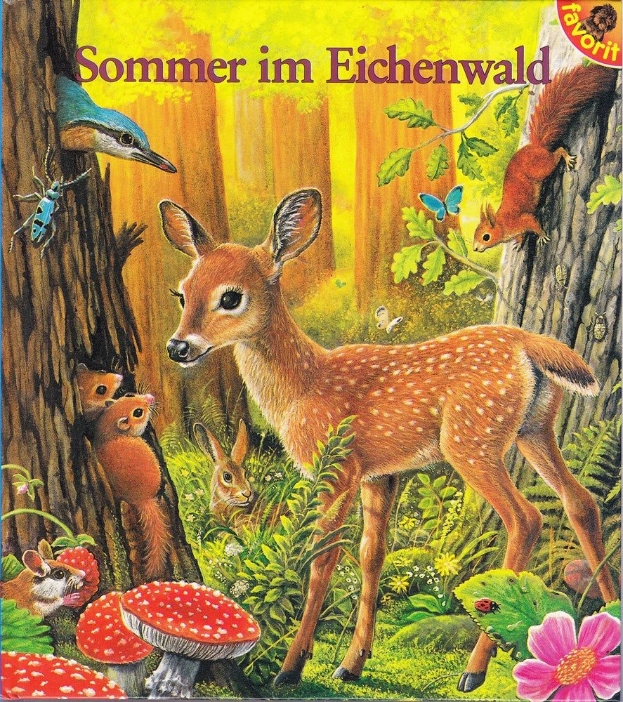 Sommer im Eichenwald