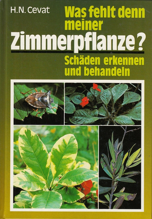 Was fehlt denn meiner Zimmerpflanze? Schäden erkennen und behandeln