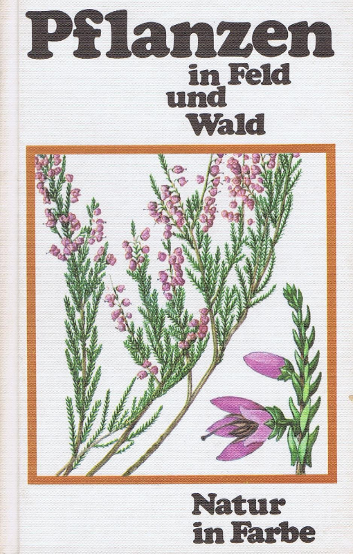 Pflanzen in Feld und Wald