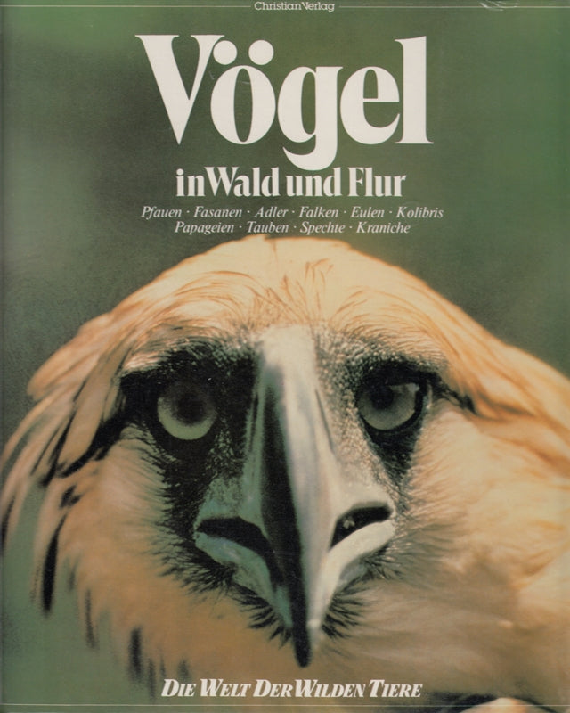 Vögel in Wald und Flur