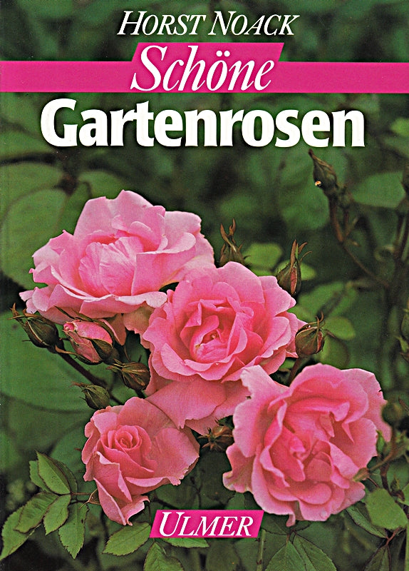 Schöne Gartenrosen