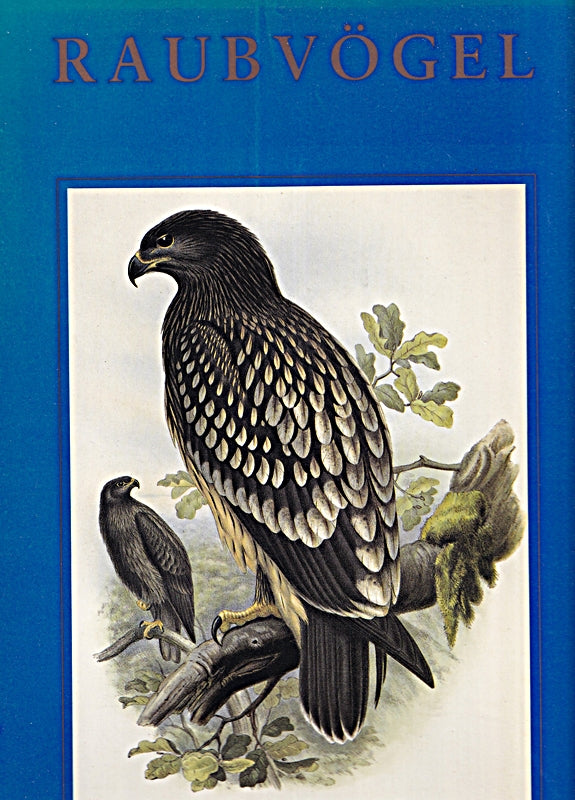 Raubvögel