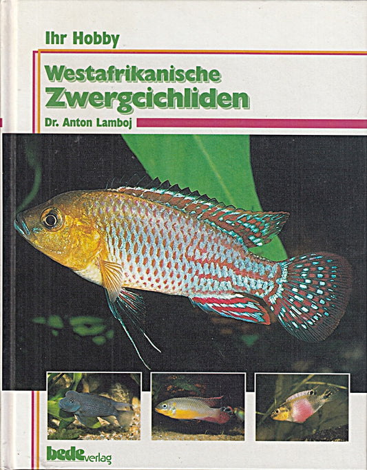 Westafrikanische Zwergcichliden  Ihr Hobby