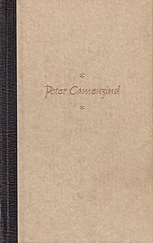 Peter Camenzind - Erzählung