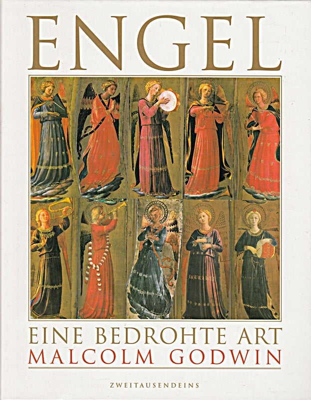 Engel. Eine bedrohte Art.  Deutsch von Christa Boeckel und Dagmar Kreye.