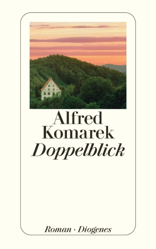 Doppelblick: Roman (detebe)