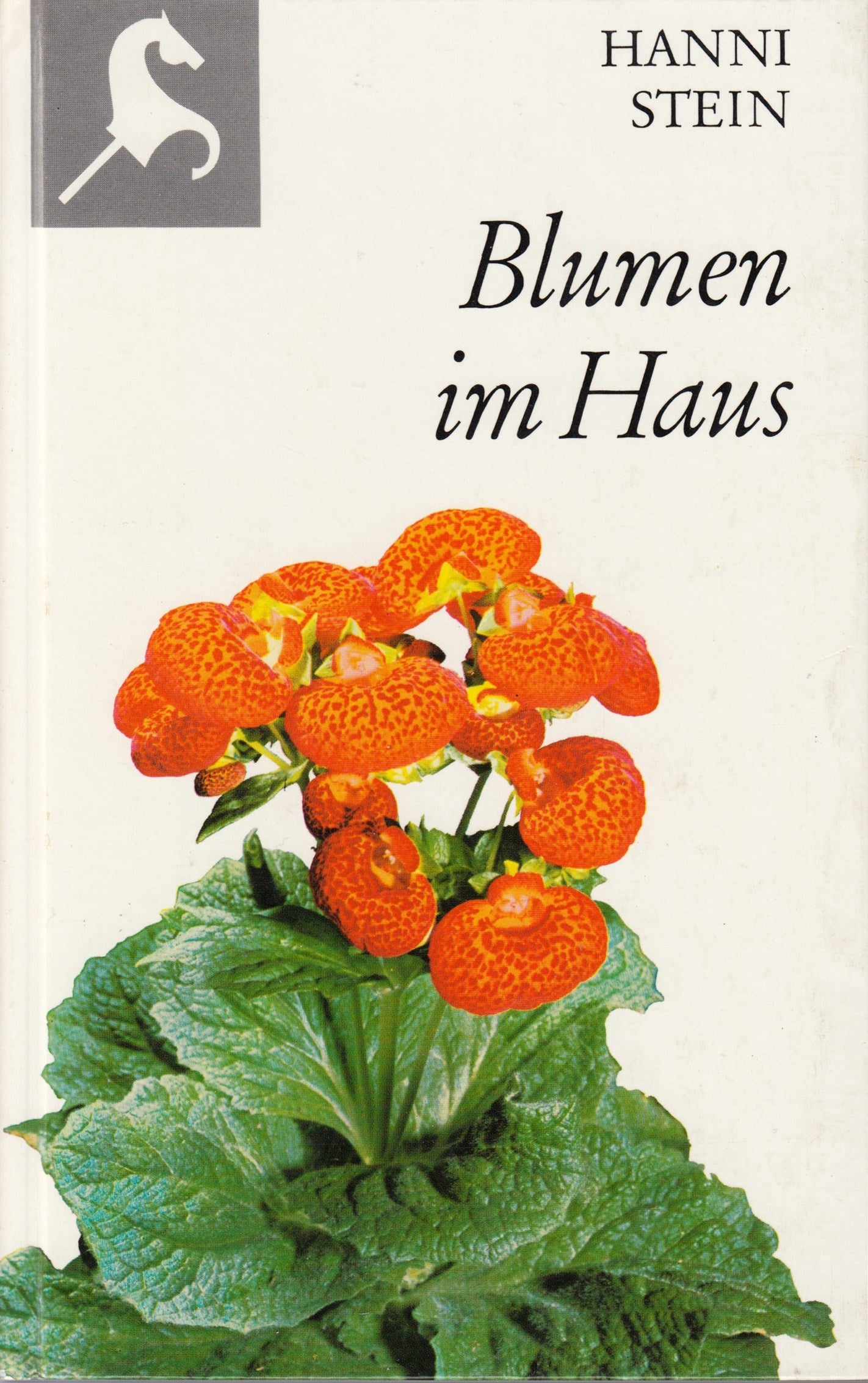 Blumen Im Haus