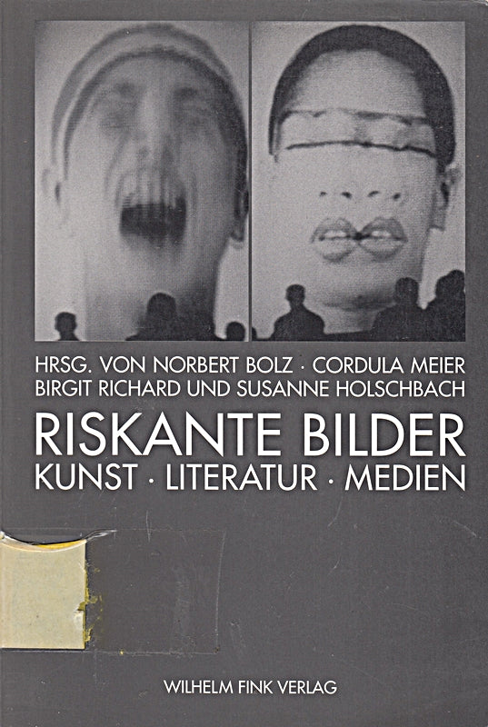 Riskante Bilder. Kunst  Literatur  Medien