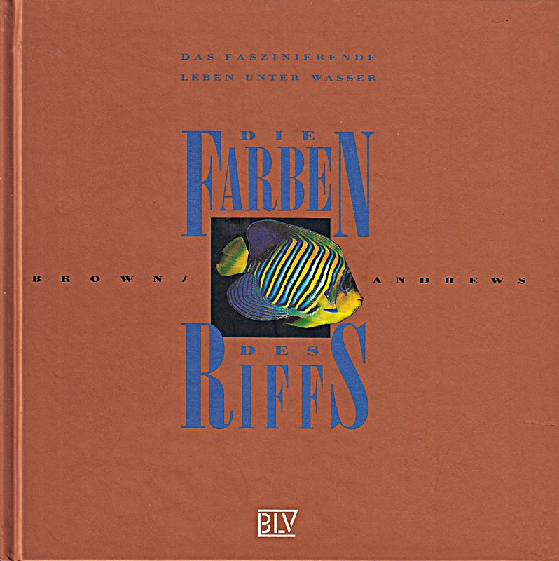 Die Farben des Riffs: Das faszinierende Leben unter Wasser