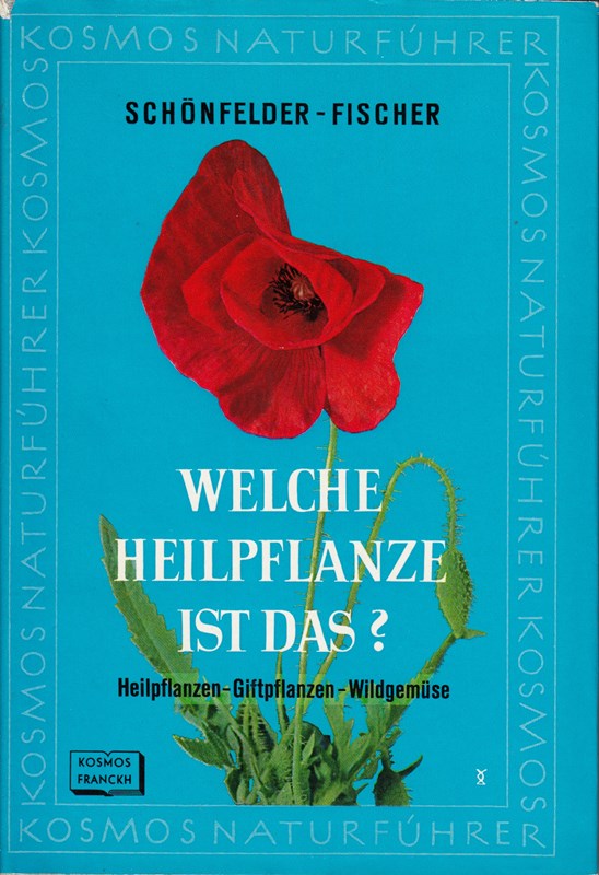 Welche Heilpflanze ist das?