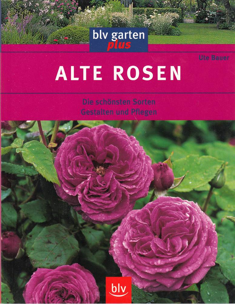 Alte Rosen. Die schönsten Sorten - Gestalten und Pflegen