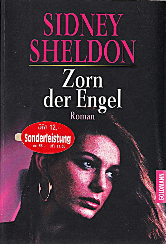 Zorn der Engel - Roman