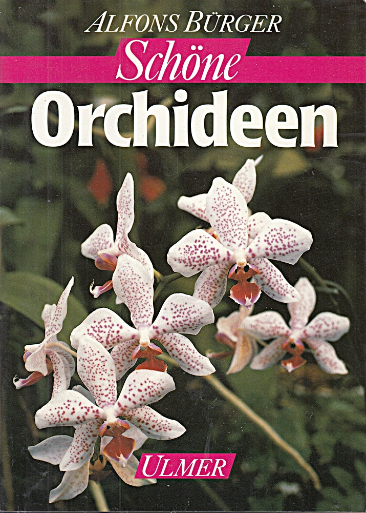 Schöne Orchideen